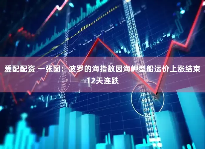 爱配配资 一张图：波罗的海指数因海岬型船运价上涨结束12天连跌