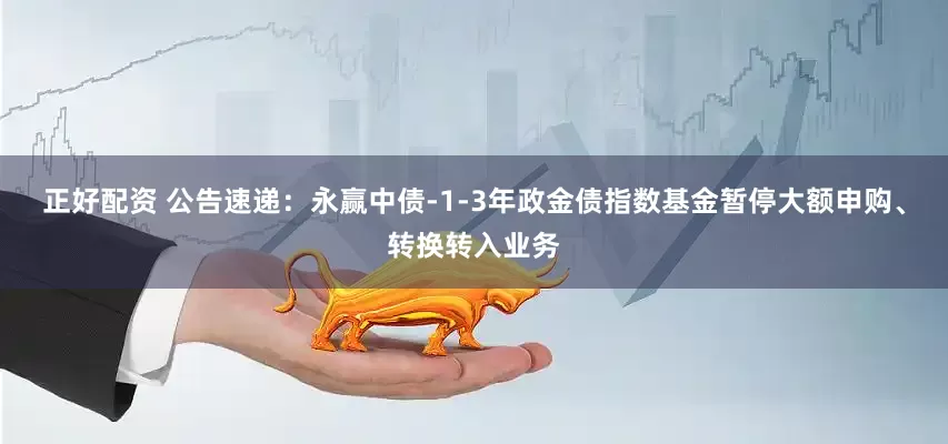 正好配资 公告速递：永赢中债-1-3年政金债指数基金暂停大额申购、转换转入业务