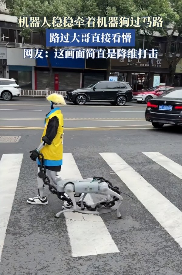 镕盛融资 机器人牵机器狗遛弯惊呆路人， 未来智能生活已悄然来到身边